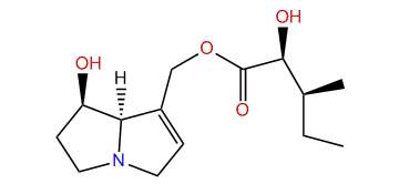 9-(2-Hydroxy-3-methylpentanoyl)-retronecine